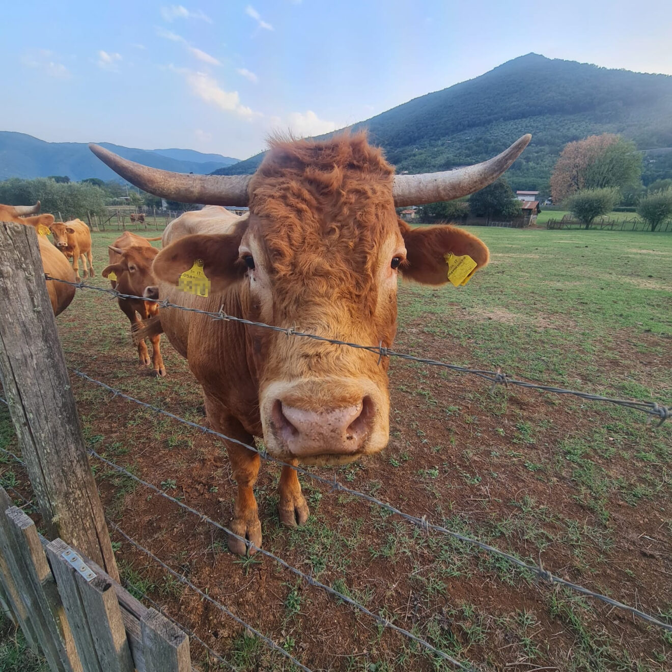 «Ai confini della Ciociaría», la AVP® sbarca finalmente in provincia di Roma!